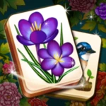 mahjong blossom solitaire android application logo